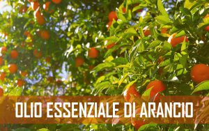 olio essenziale di arancio