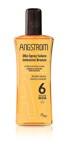 ANGSTROM PROT PERF OLIO SEC 6