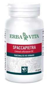 Erba Vita Spaccapietra Integratore Funzionalit Vie Urinarie 60 Capsule