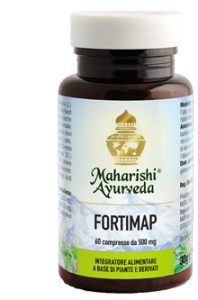 FORTIMAP 60CPR 60G