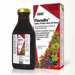 Floradix Ferro 250ml