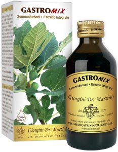 GASTROMIX LIQUIDO ANALCOLICO 200 ML