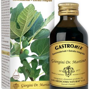 GASTROMIX LIQUIDO ANALCOLICO 200 ML