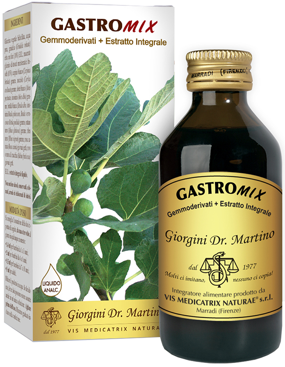 GASTROMIX LIQUIDO ANALCOLICO 200 ML