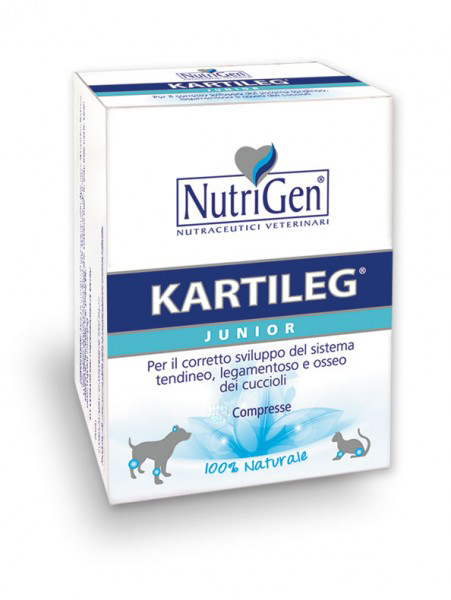 Kartileg Junior - 60X1GR