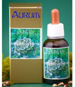 MycoPolyporus Aurum Gocce 30ml