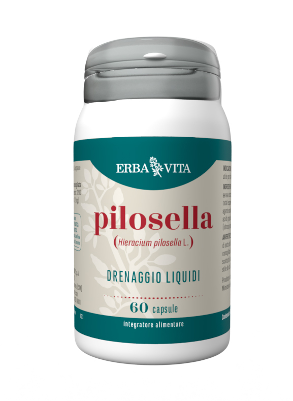 Pilosella Erba Vita 60 Capsule