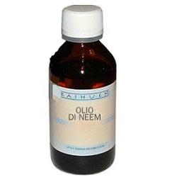 Raihuen Olio Di Neem 100ML