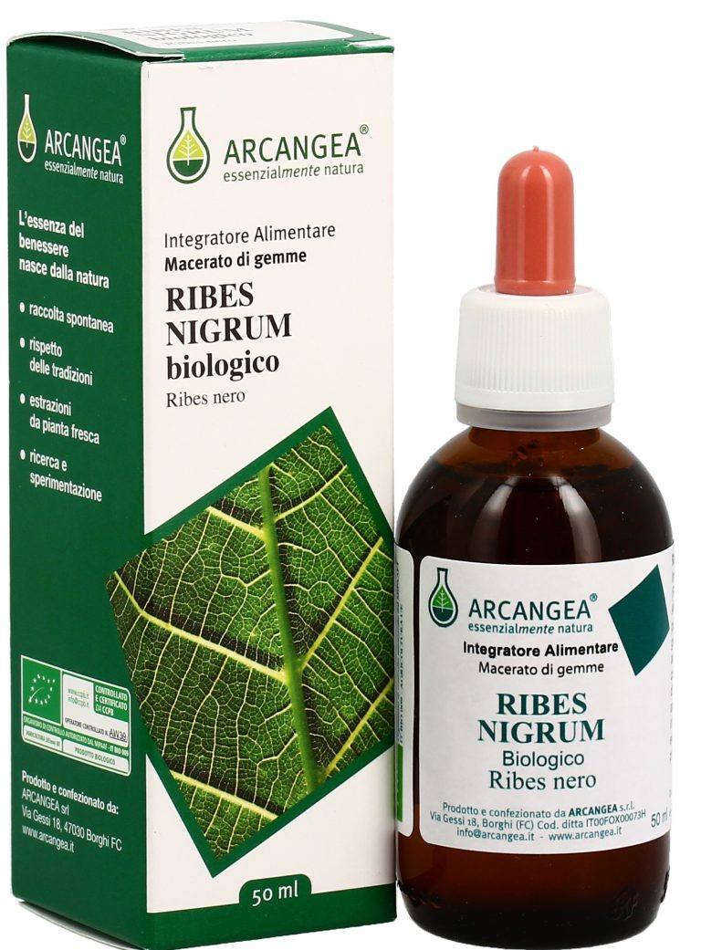 Ribes Nigrum Biologico Arcangea 100ml