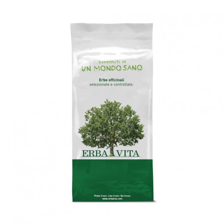 Salice Bianco Taglio Tisana Erba Vita 1Kg