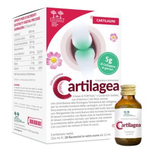 Salugea Cartilagea 18 Flaconcini