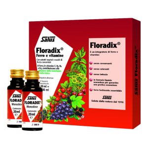 Salus Haus Gmbh & Co Kg Floradix Monodose 10 Fiale