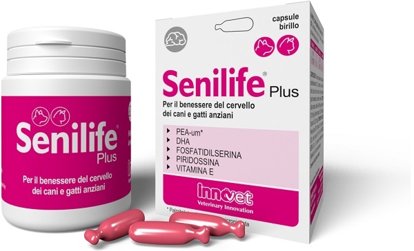 Senilife Plus - Integratore per la Funzione Cognitiva di Cani e Gatti - 60 Capsule