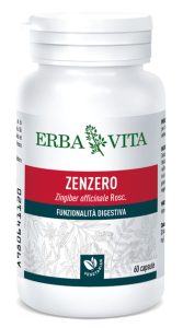 ZENZERO 60 Capsule 500mg EBV