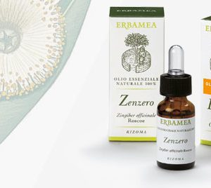 Zenzero Olio Essenziale ERBAMEA 10ml