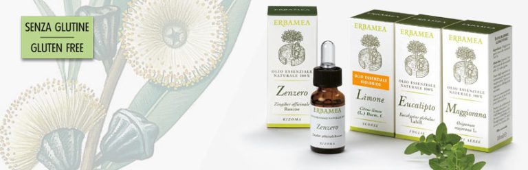 Zenzero Olio Essenziale ERBAMEA 10ml