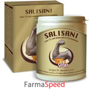 salisani vitaminsport 360 g polvere