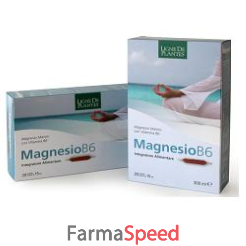 magnesio b6 20 ampolle bevibili 15 ml